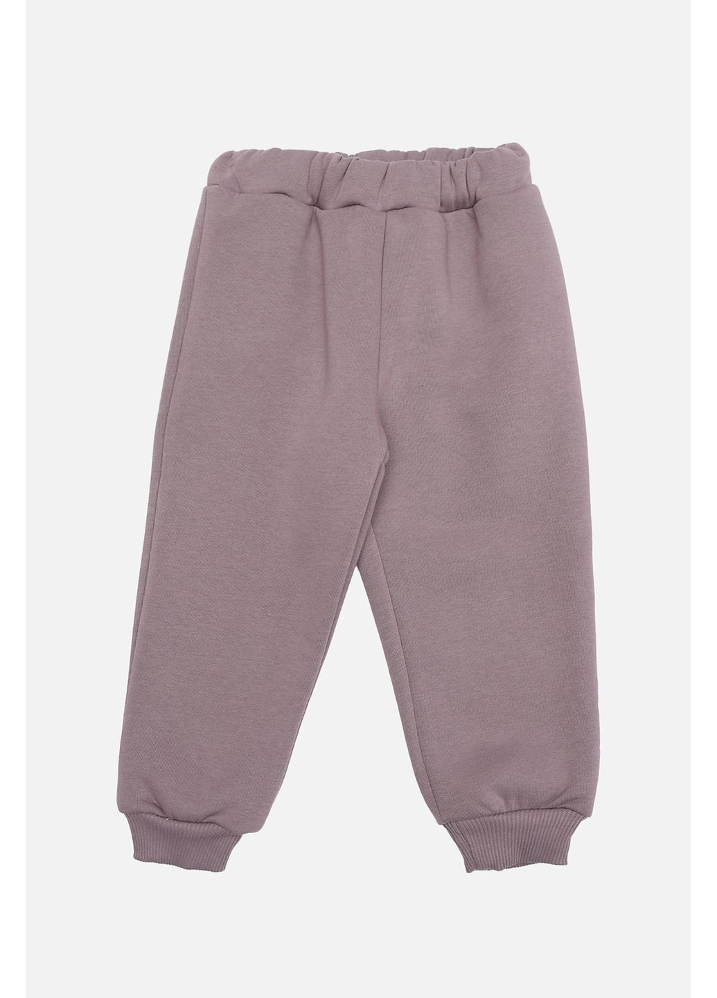 Сиреневые зимние брюки KRMS Sport