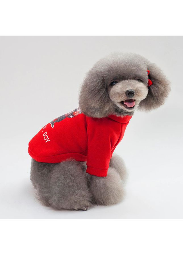 Костюм (свитшот) для собак и кошек с ярким принтом, размер L, Лорі (367725946)