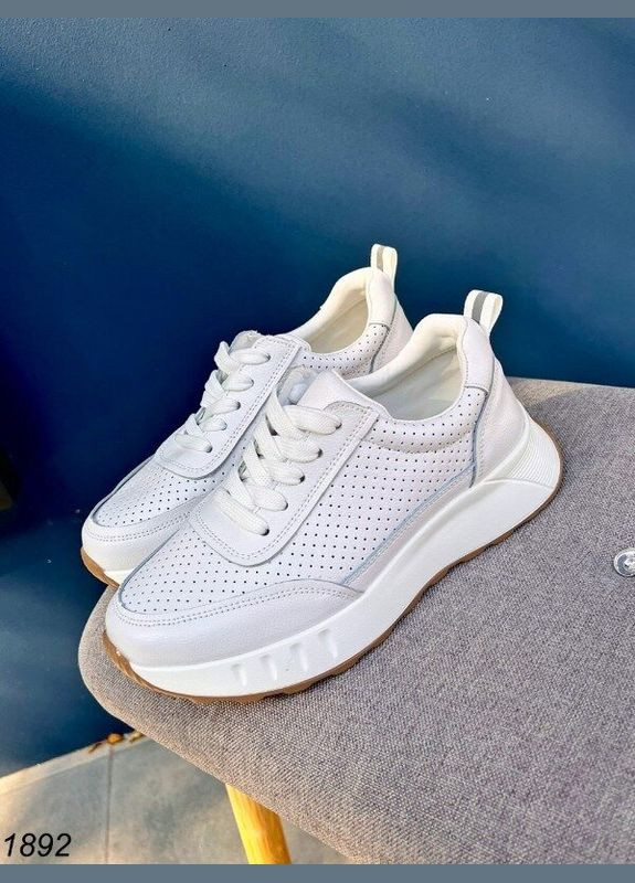 Білі шкіряні жіночі кросівки перфоровані Anthracite KDSL білі демісезони (315746840)