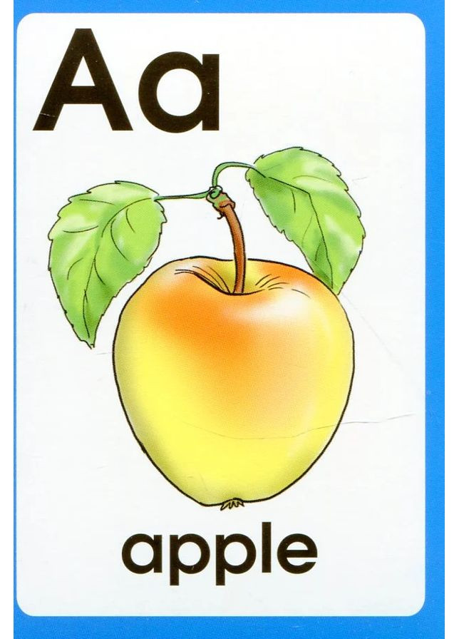 Англійська абетка ABC Words. Картки Грамота (370052476)