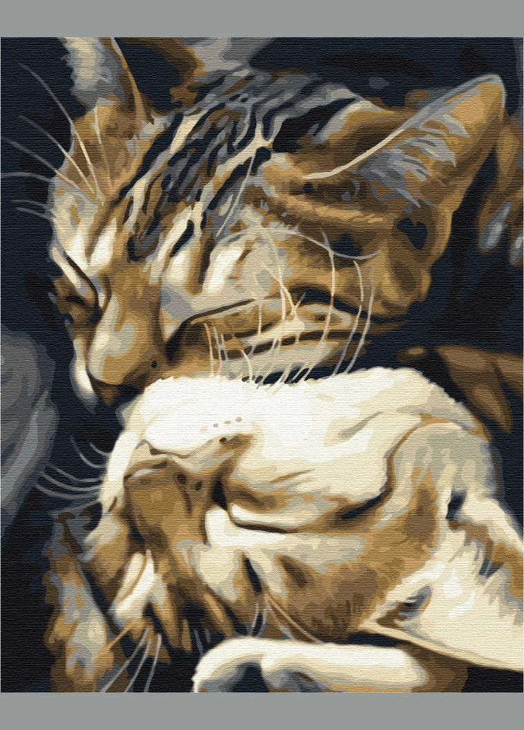 Картина за номерами "Сплячі котики" 40х50 см Brushme (363986338)