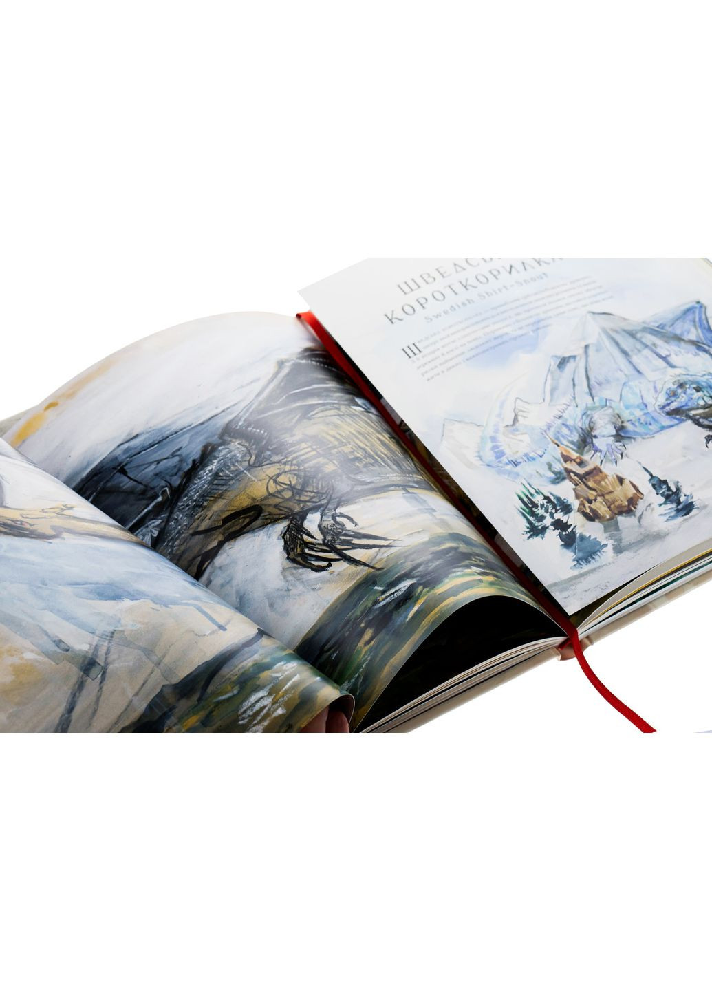 Фантастичні звірі і де їх шукати — Джоан Роулінг |, книга українською, нова, тверда, ілюстрована А-БА-БА-ГА-ЛА-МА-ГА (362680252)