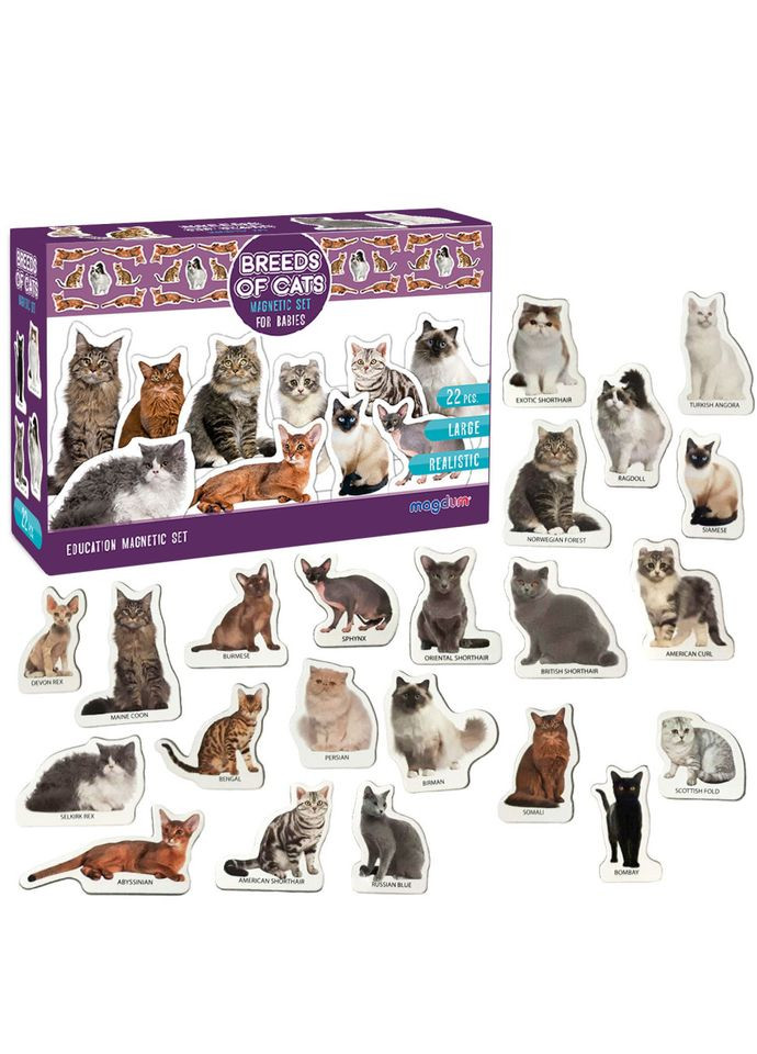 Набір магнітів "Породи кішок" ML4031-13 EN MAGDUM (334156637)