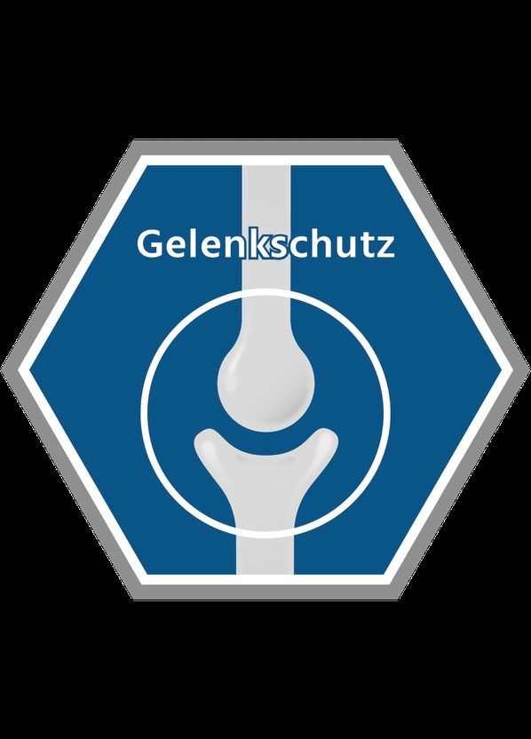 Сухий корм для собак при захворюваннях опорно-рухової системи MERAVITAL Mobility, 10 кг (*) Mera (304772714)