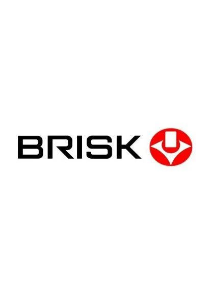 Свічка розжарювання BRISK CH229 (401654684)