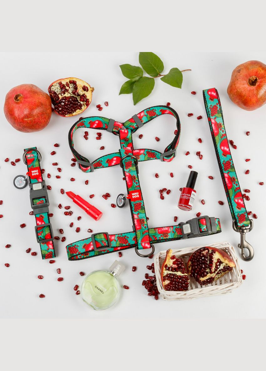 Нашийник для собак нейлоновий Nylon з QR паспортом, S, Ш 15 мм, Дов 25-35 см WAUDOG (322642807)