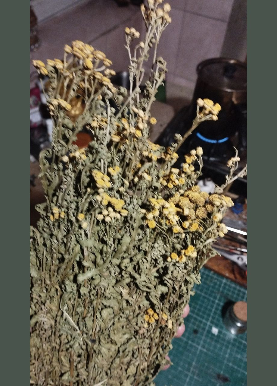 Трава Пижма No Brand (331288960)