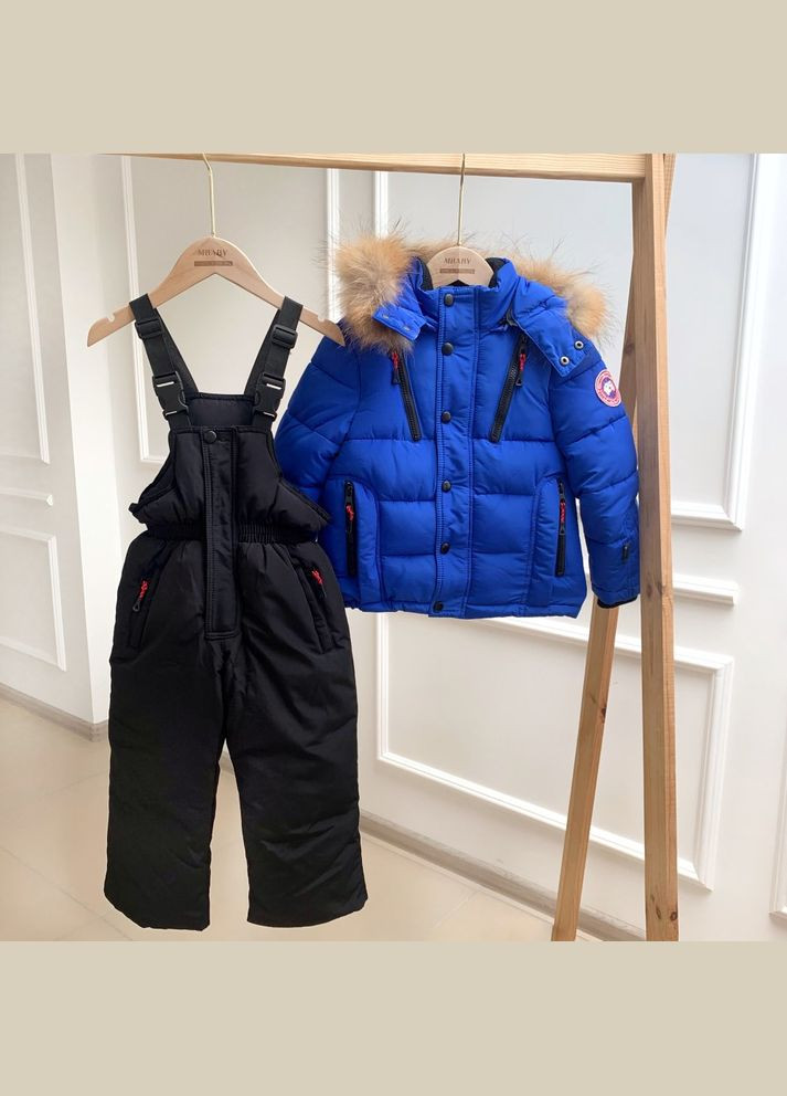 Синяя демисезонная комбинезон детский раздельный canada goose ( 90см ) (127) Qoopixie