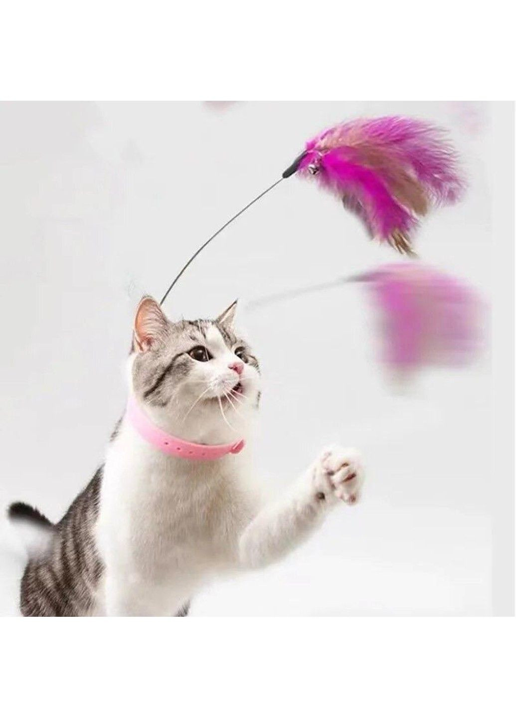 Дразнилка-ошейник для котов с перьями "Happy" Xtep (319664356)