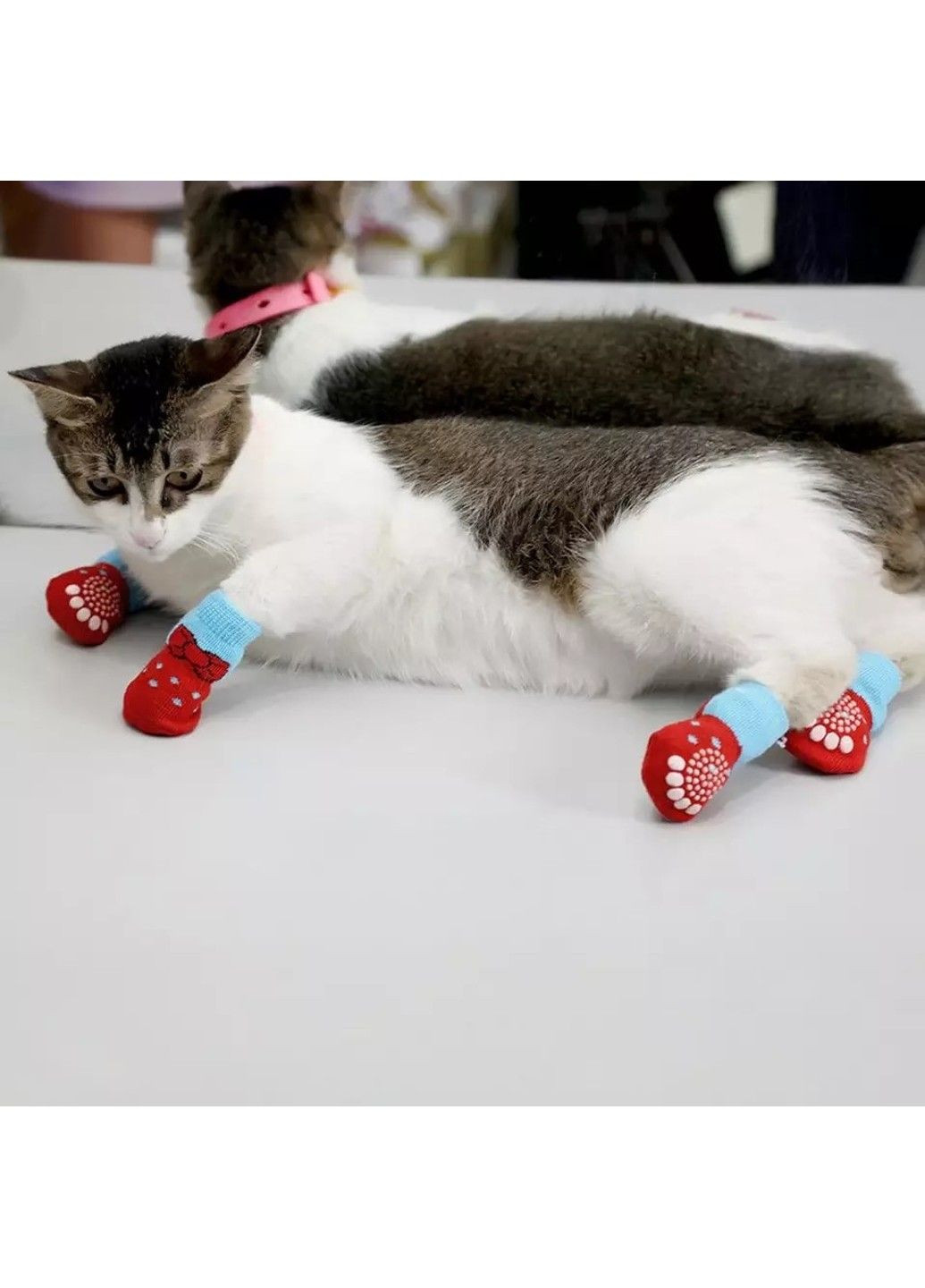 Носки с антискольжением для собак хлопок "Red and Blue" Size L Xtep (320953254)