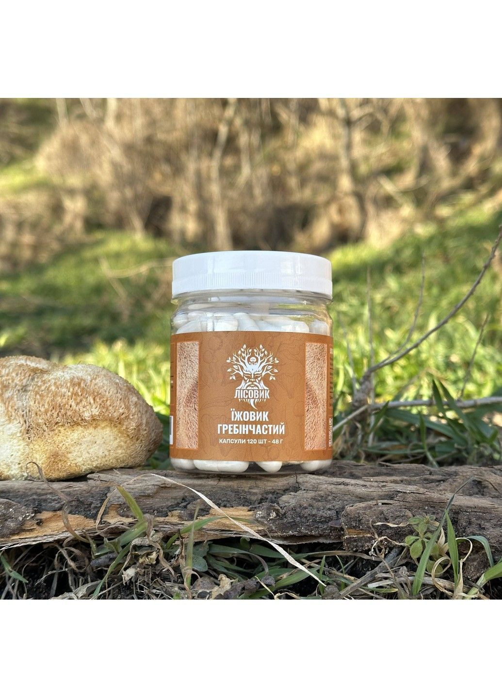 Ежовик гребенчатый 120 капсул Лесовик Лісовик (364210423)