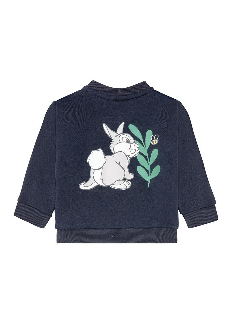 Комбінований демісезонний костюм для хлопчика Disney