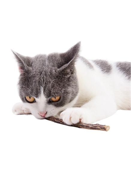 Дерев'яні жувальні палички кішці для догляду за зубами і як іграшка коту в наборі з 5 шт No Brand (322594621)