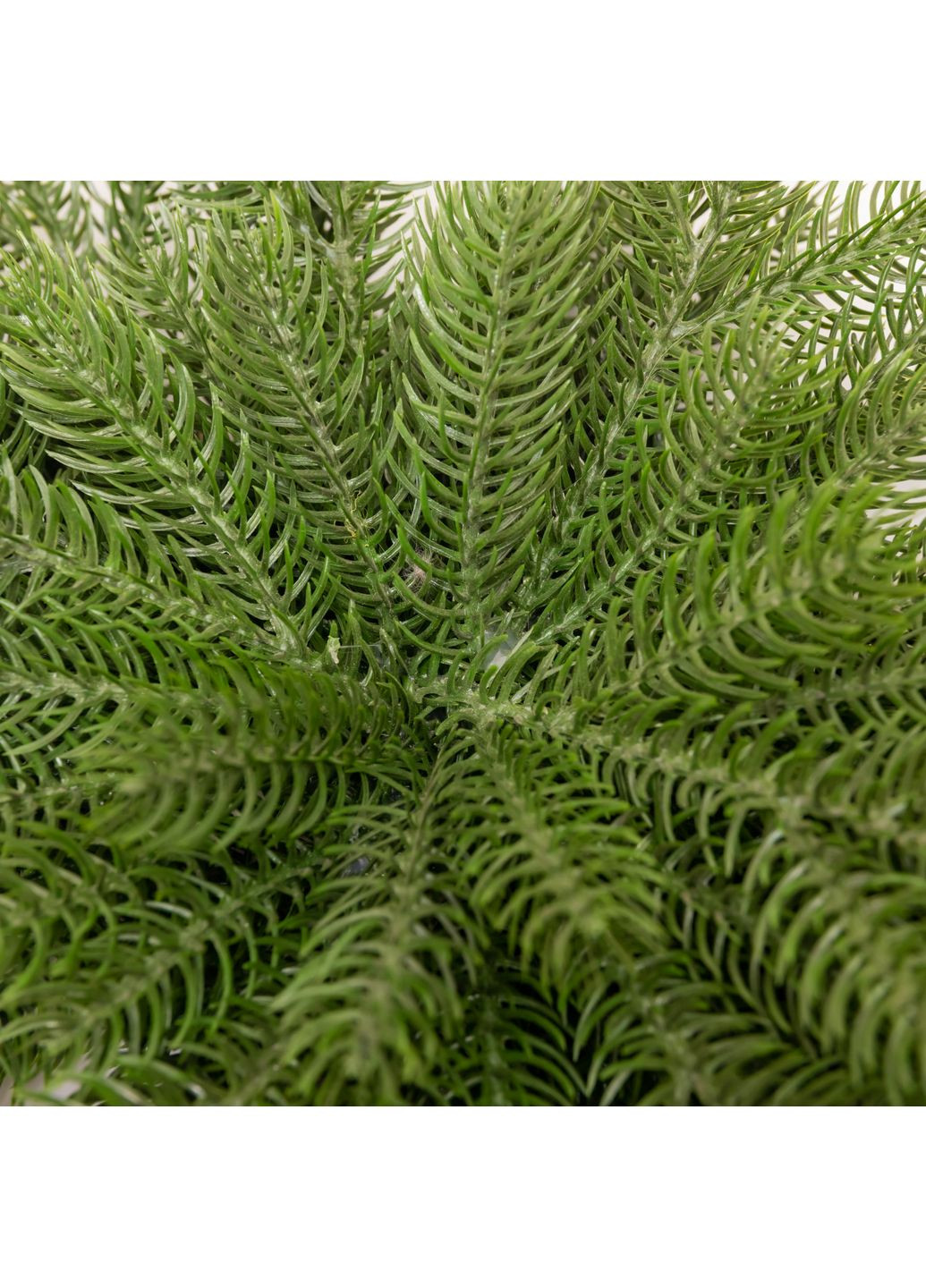 Гирлянда хвойная Северная звезда 60*35 см зеленая LUGI (370187916)