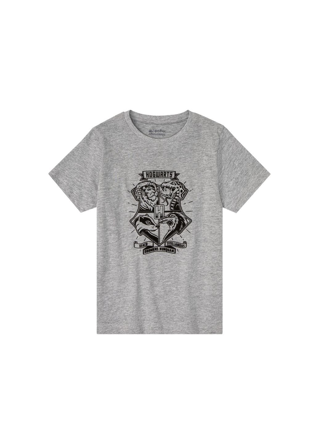 Комбінована літня набір футболок для хлопчика Pepperts