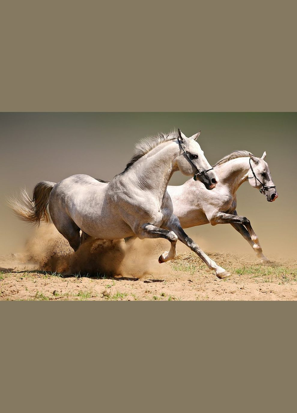 Алмазна мозаїка Чарівний діамант (333709916)