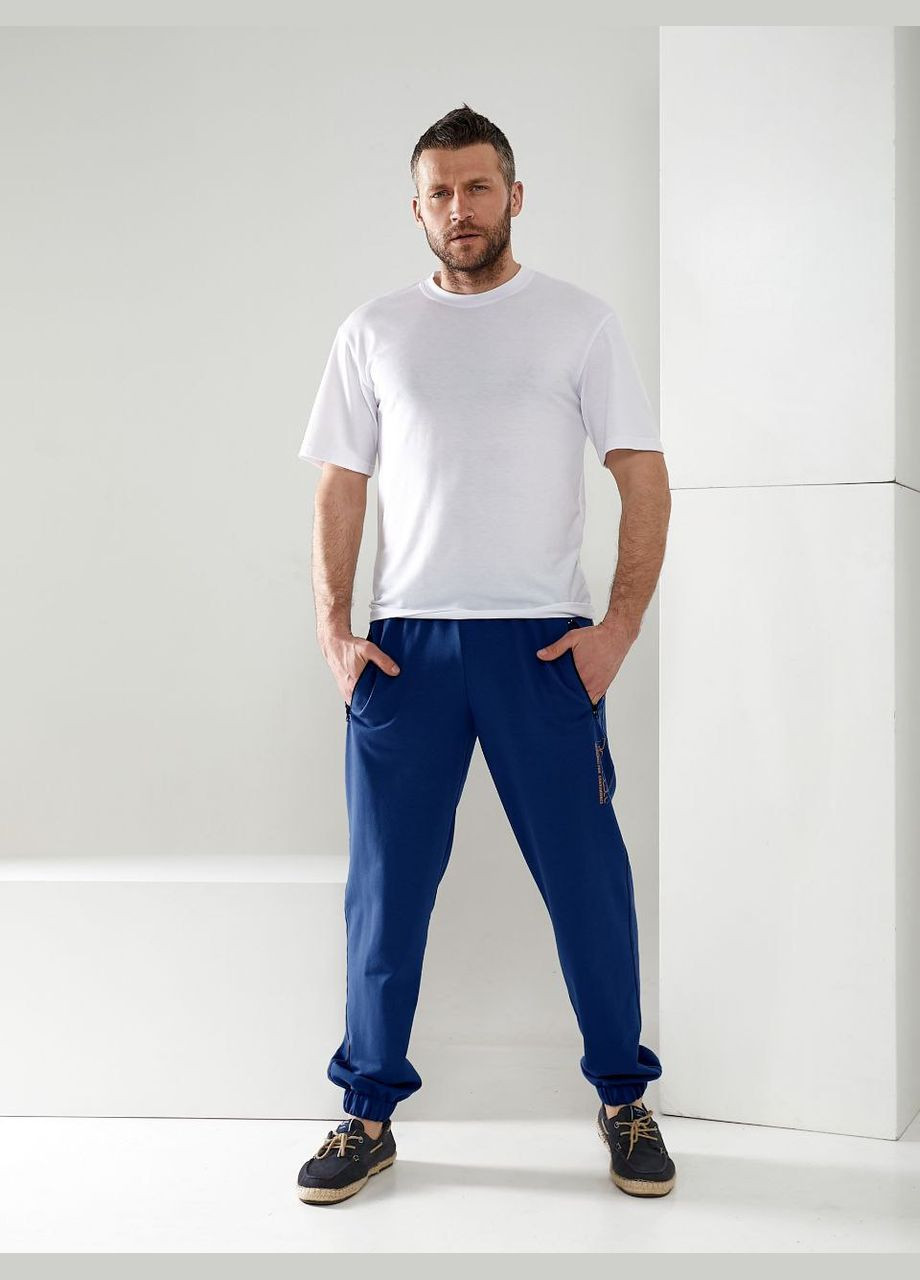 Синие спортивные, повседневный, кэжуал демисезонные брюки No Brand