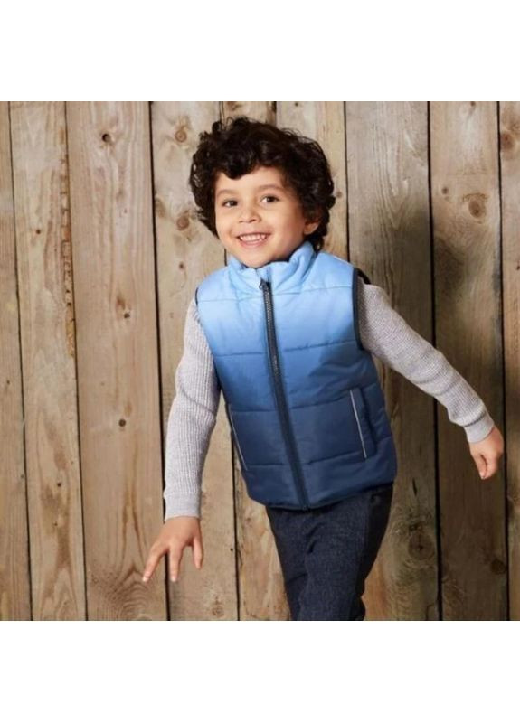 Дитячий утеплений жилет на флісі на хлопчика Lupilu (363045072)