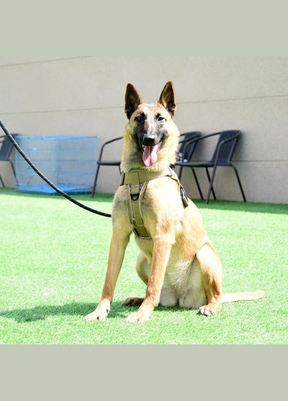 Шлея для собак, тактичний жилет з ручкою, Чорний Піксель M (50-60см) Hong (299915585)