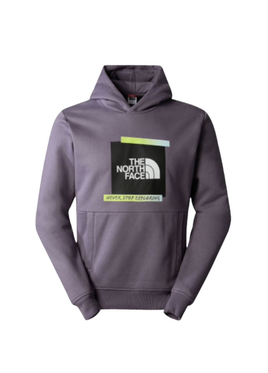Толстовка The North Face (284162286)