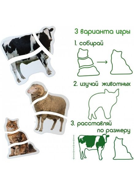 Магнітні пазли Ферма ML4031-19 EN MAGDUM (366431714)