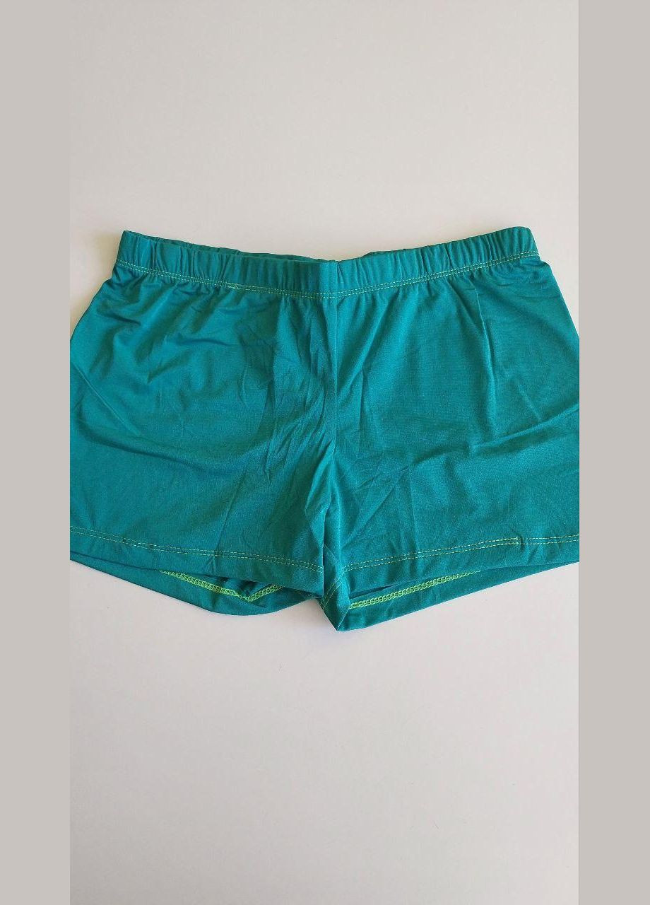 Чоловічі шорти для плавання купальні плавки Honey Fashion Accessories (6-28) No Brand (313286143)