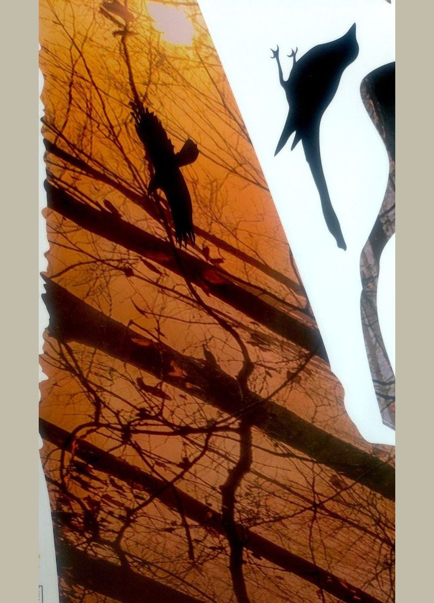 Вінілові наклейки на стіну Саванна жираф-природа птахи (2 листа 30 х 90 см) Б111-2 No Brand (302243136)