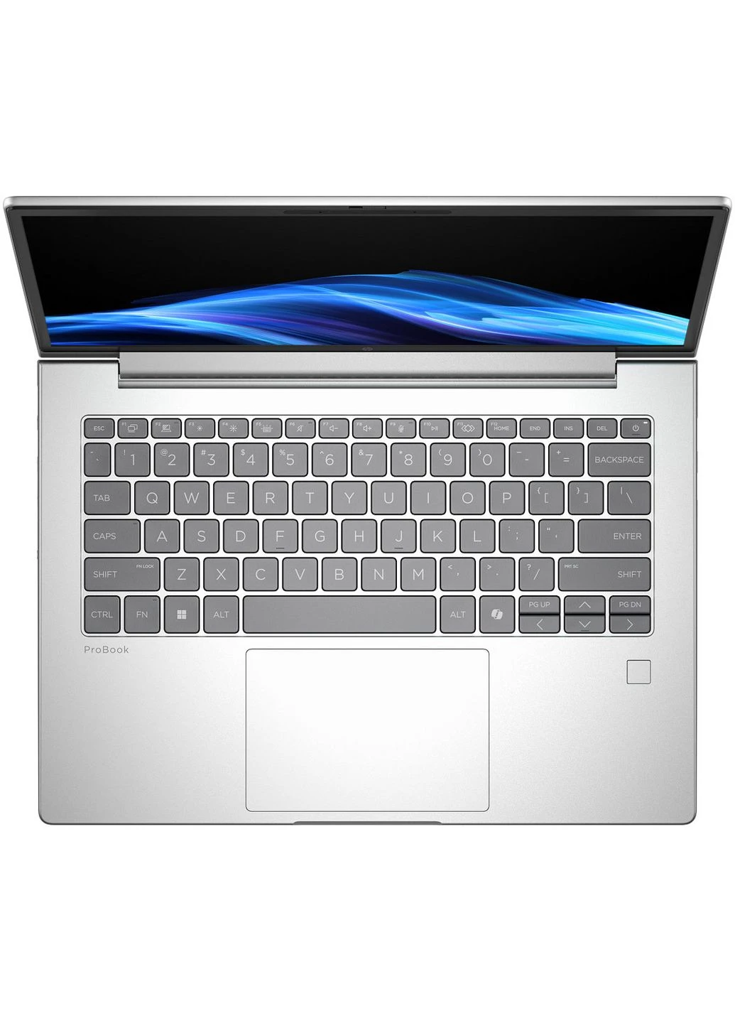 HP ProBook 4 G1i 14" WUXGA IPS, 300n/U5-225U (4.8)/16Gb/SSD512Gb/Intel Graphics/FPS/Підсв/DOS Hewlett Packard (394054952)
