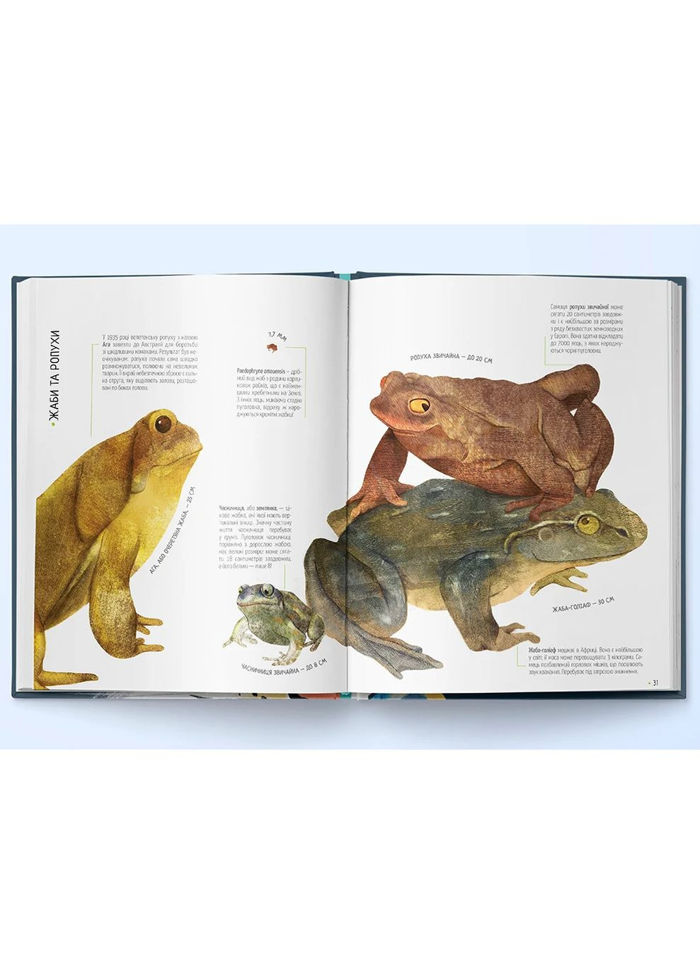 Тварини на всі 100% Nebo BookLab (370103174)