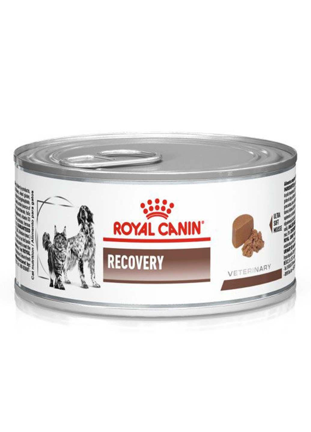 Вологий корм Recovery для котів та собак у період відновлення після хвороби 195 г Royal Canin (286472590)