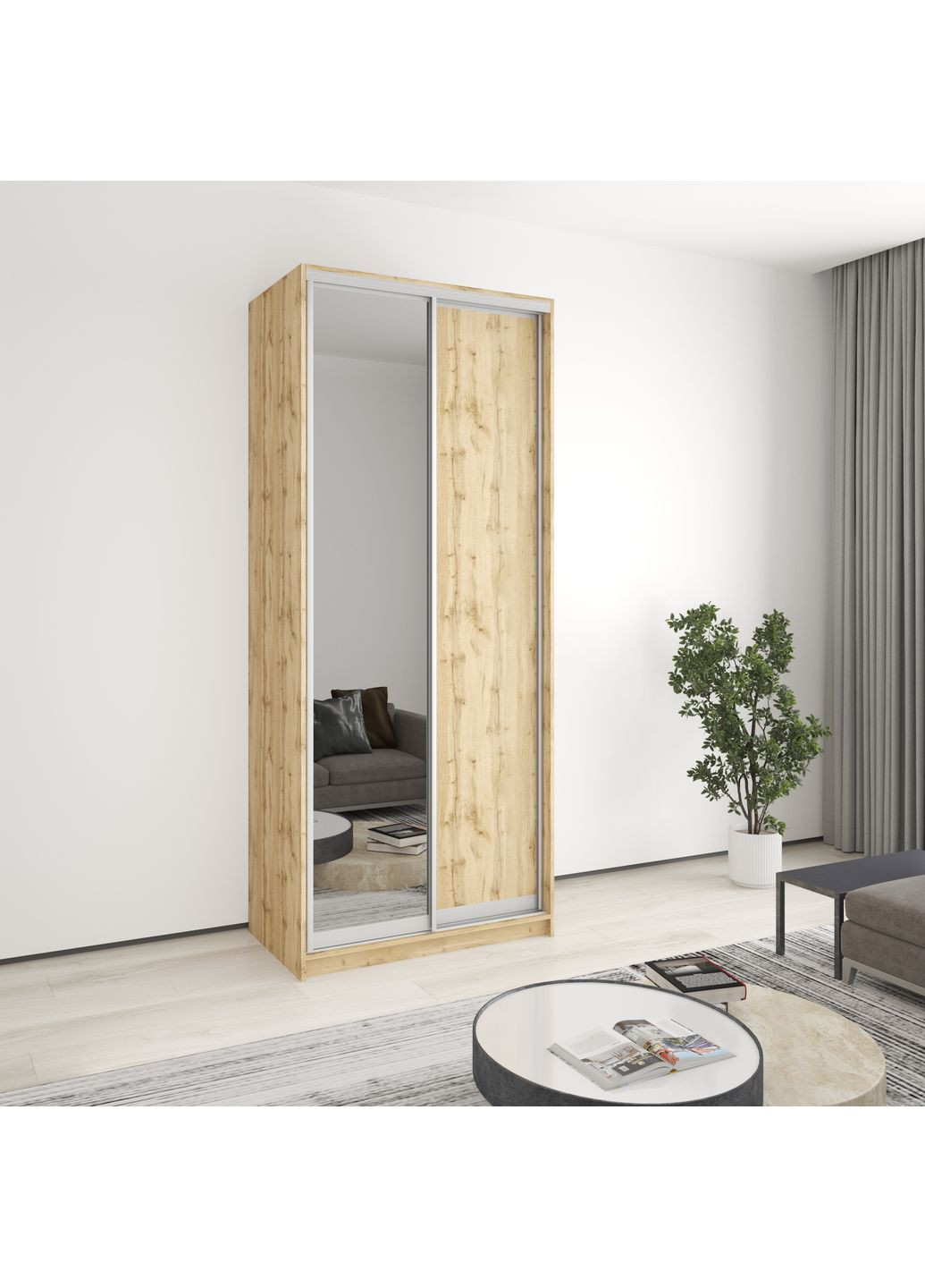 Шкаф-купе двухдверный Стандарт AL ДСП/Зеркало 100x60x240 см (MBS-3780) MebelStar (359449481)