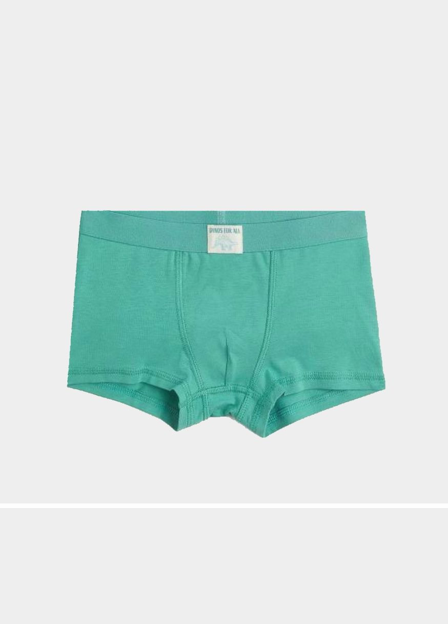 Трусики-боксеры для мальчика 0785948-5 H&M (335009129)