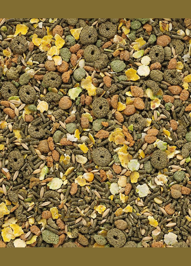 Корм Classic Cavia з вітаміном C для морських свинок Вага: 0.5 кг (5410340616123) Versele-Laga (316036563)