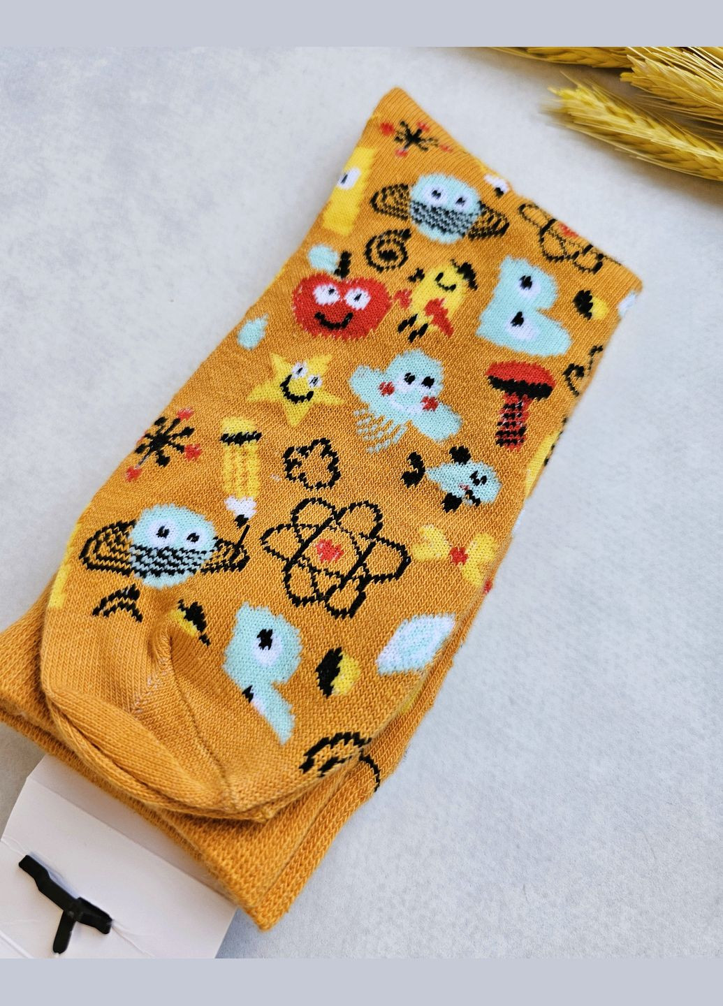 Шкарпетки дитячі набір 2 шт Lupilu Шкарпетки (329882475)