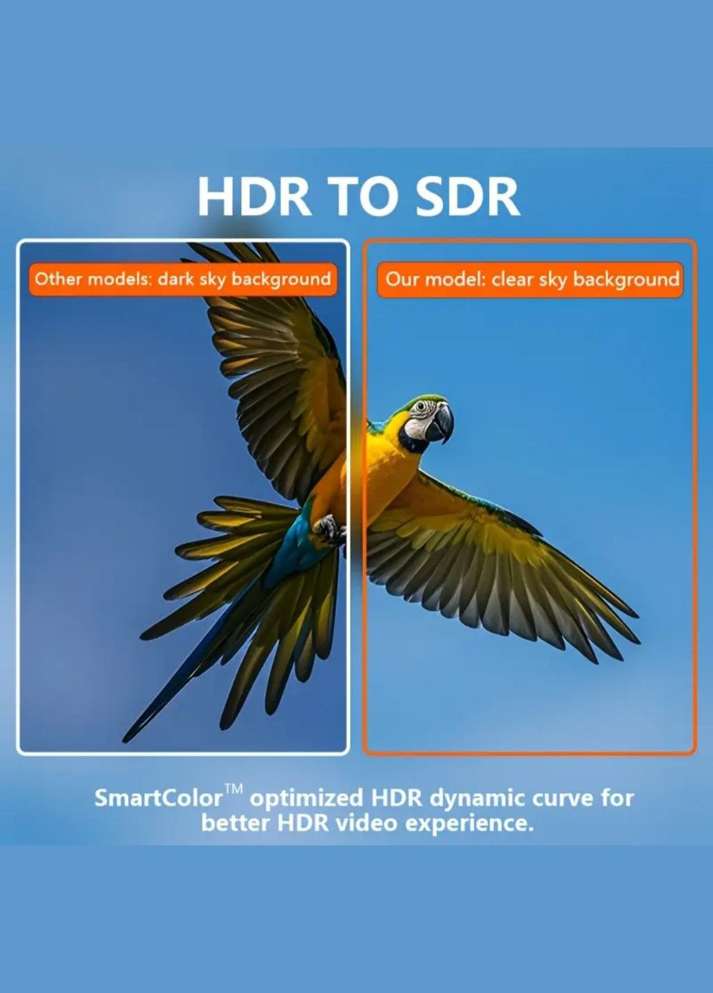 Медіаплеєр X96Q Android 10 TV Box (2GB RAM + 16 GB ROM, 4K UHD, Wi-Fi) No Brand X96 (341084521)