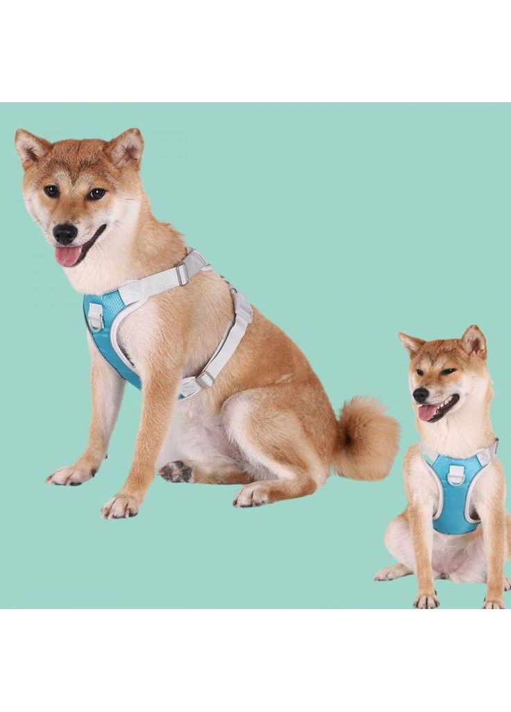 Шлея для собак Bororo Комфорт и контроль во время каждой прогулки No Brand (362571929)