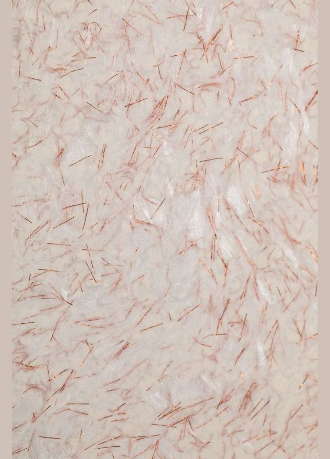 Жидкие обои шелковые BIOPLAST (313240044)