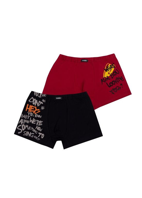Дитячі труси-шорти для хлопчика SHM-24-5/2 (комплект 2шт.) Габби (316356241)