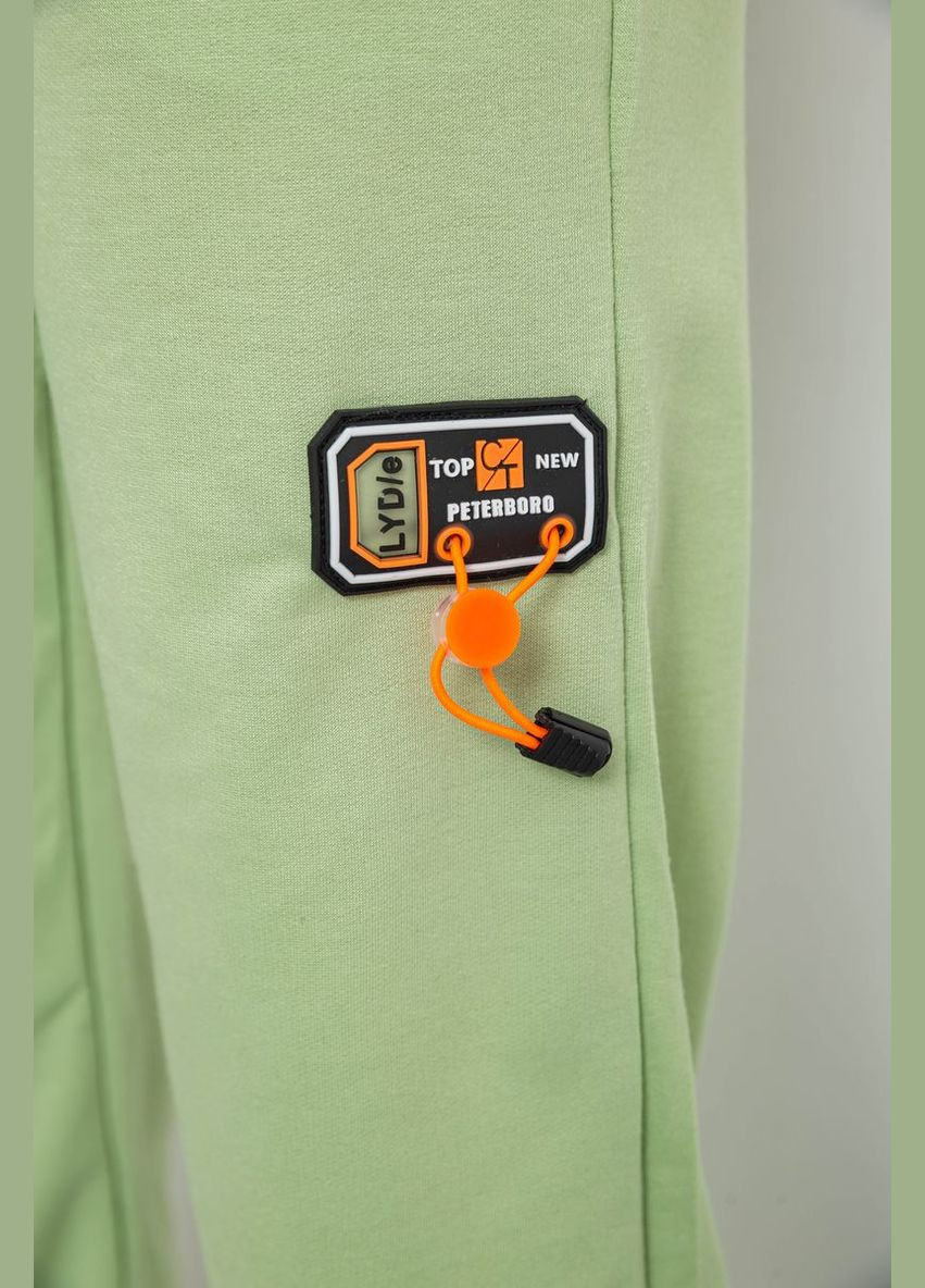 Спортивні штани жіночі Apex 238RJH016 (329693952)