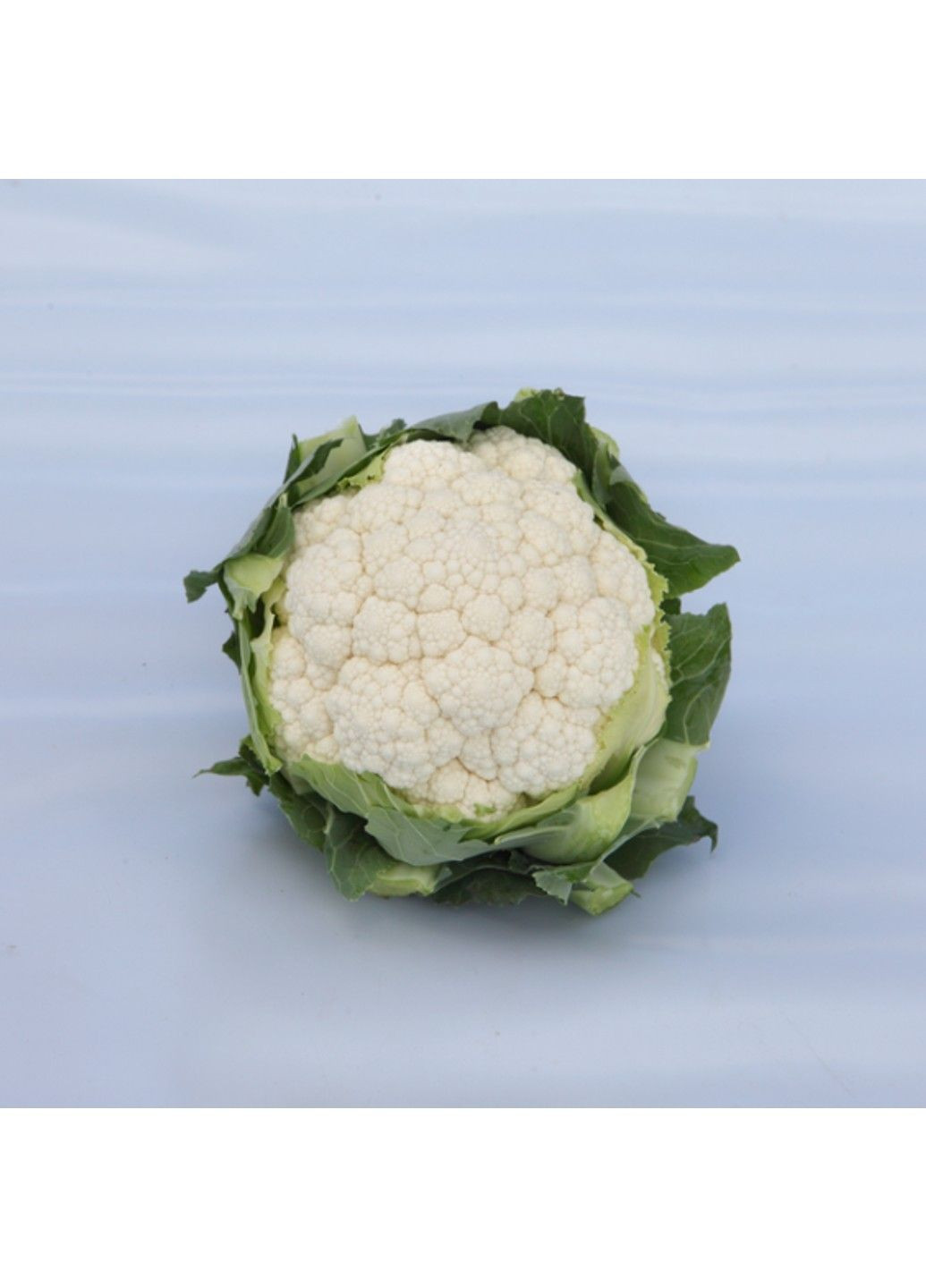 Семена капусты цветная Солистар F1 Syngenta (331900643)