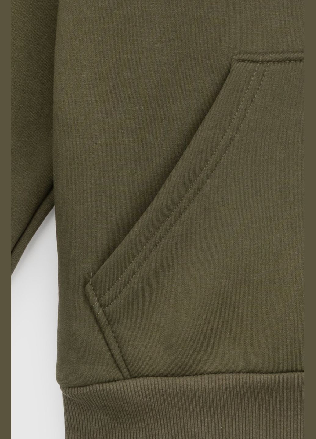 Худі однотонний чоловічий DMS-037 baza (2000990058799W) shop (2000990058799) Demos (264641669)