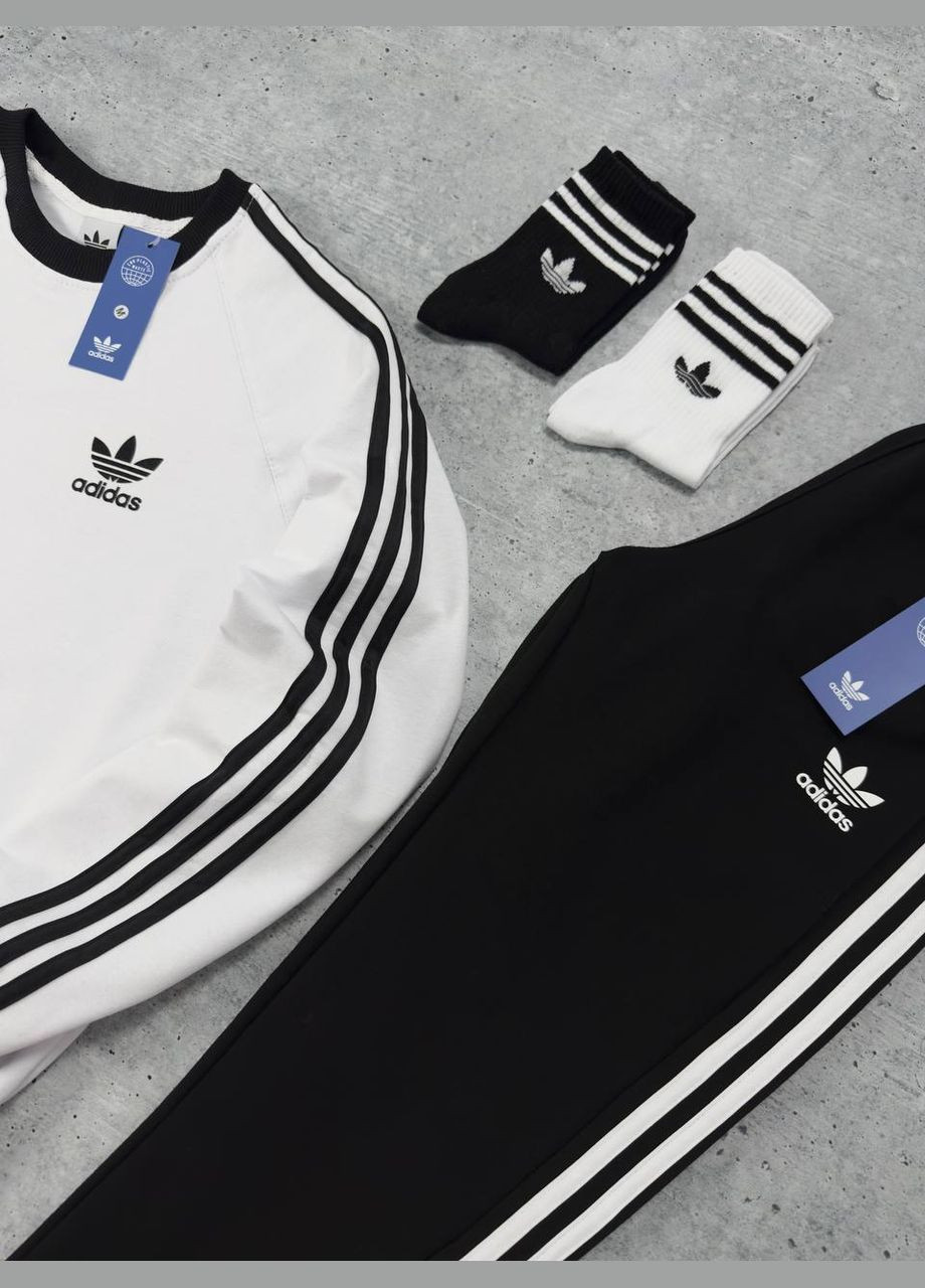 Костюм: свитшот-штаны-2 пары носков No Brand (325817869)