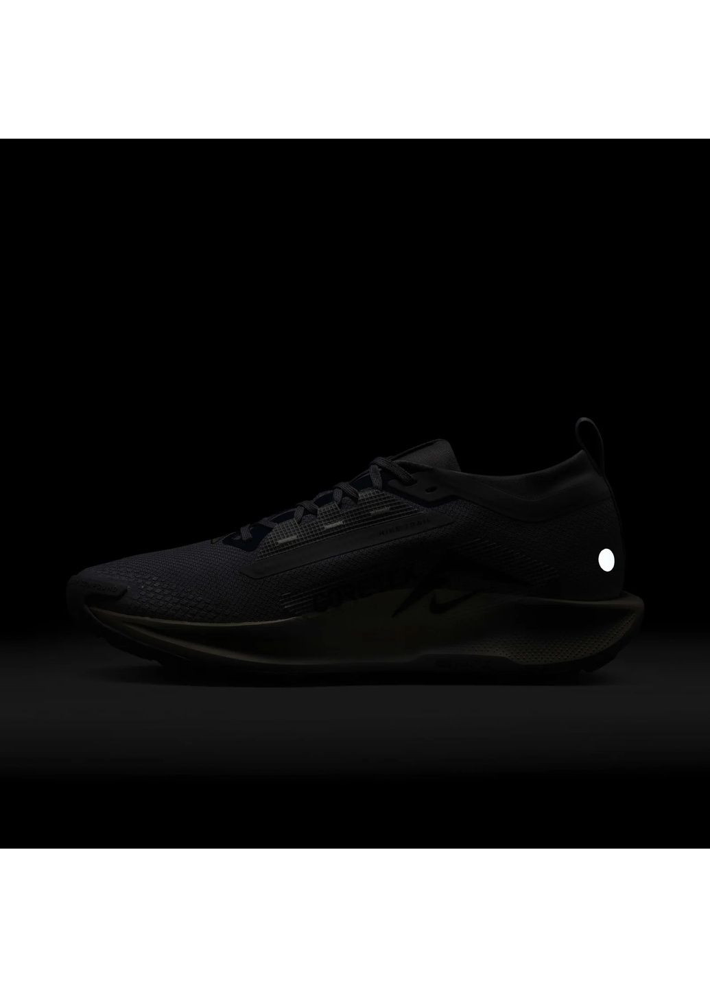 Сірі кросівки чоловічі pegasus trail 5 gtx grey fq0908-006 Nike