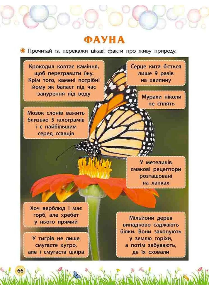 Секрети знань. Зустрічай 4 клас АССА (370068783)