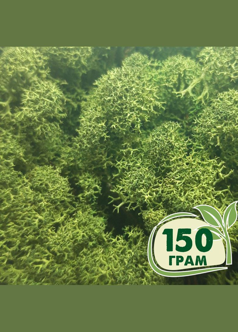 Стабилизированный мох ягель Зеленый темный 150 грамм Nordic moss (276401225)