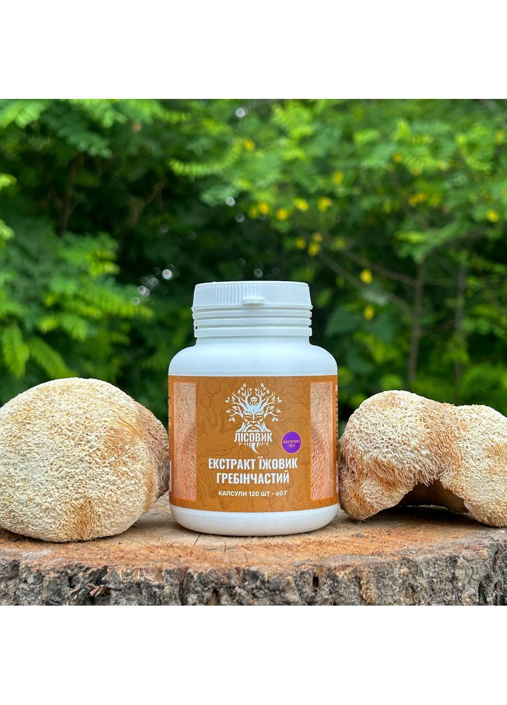 Экстракт Ежовика гребенчатого, 120 капсул по 0.5 г Лісовик (337336465)