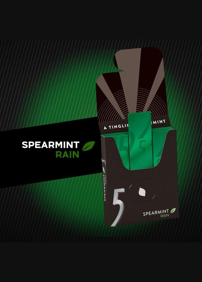 Жувальна гумка 5 Spearmint Rain Gum без цукру 10 пачек 150 стиков Wrigley's (286422223)