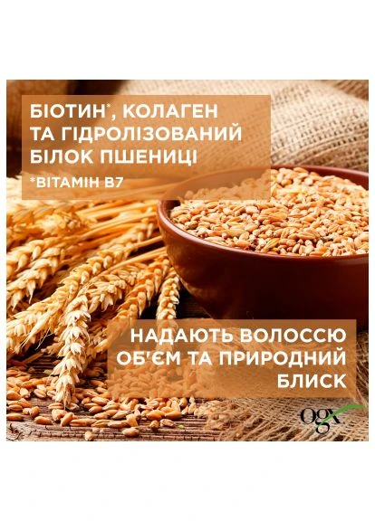 Кондиціонер для волосся Biotin&Collagen для позбавлених об'єму, тонк. волосся 385 мл (0022796976710) OGX Biotin&amp;Collagen для позбавлених об'єму, тонк. воло (390001013)