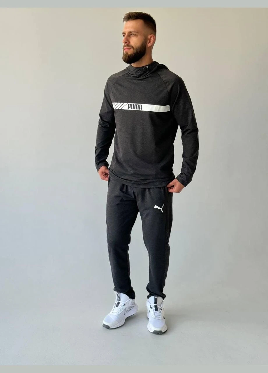 Чоловічий спортивний костюм Puma темно-сірий No Brand (353848668)