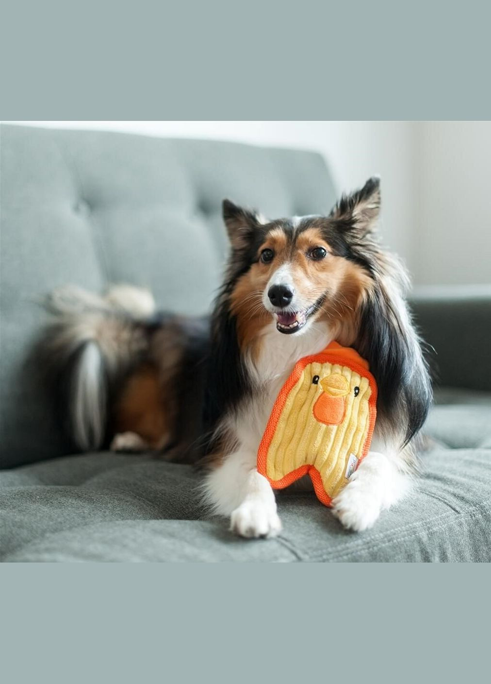 Іграшка для собак Відвард Хаунд Курча міні (oh67805) Outward Hound (329994535)